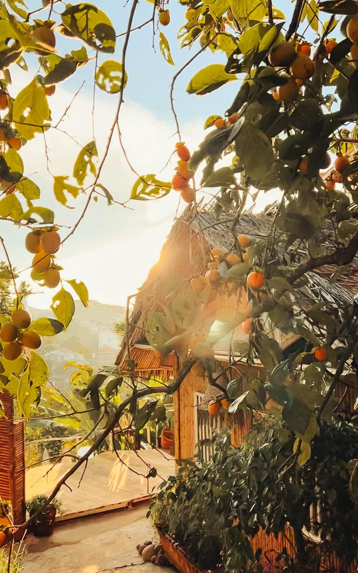 Nay Bungalow Dalat 외부 사진